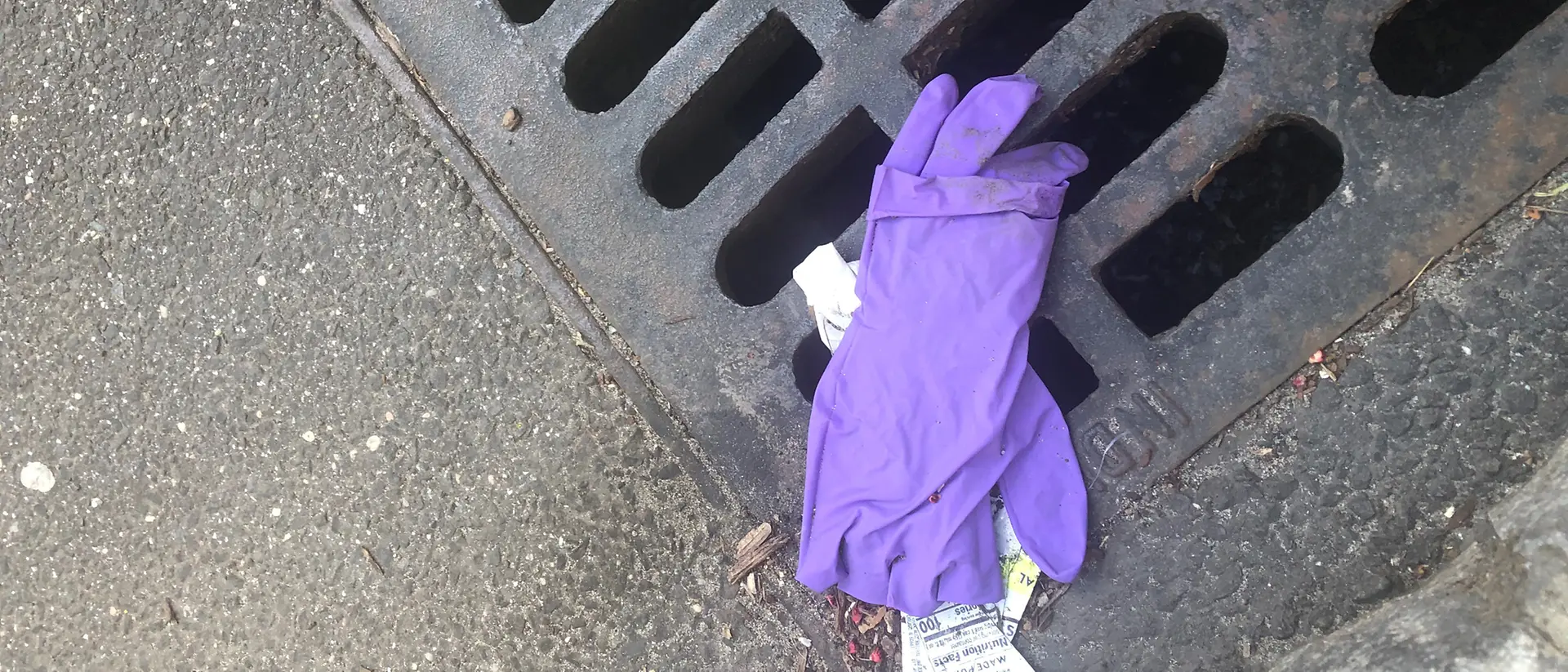 discarded latex gloves