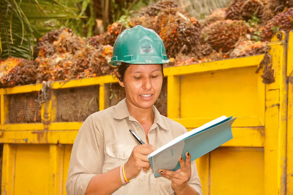 Creating traceability in the palm oil supply chain 