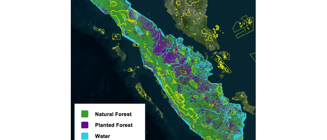 A graphic showing Orbital Insight’s deforestation monitoring in Sumatra.