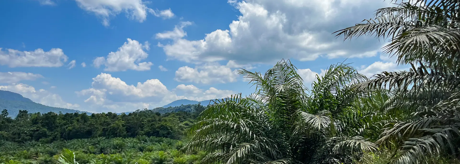 indonesia-landscape-solidaridad-1-