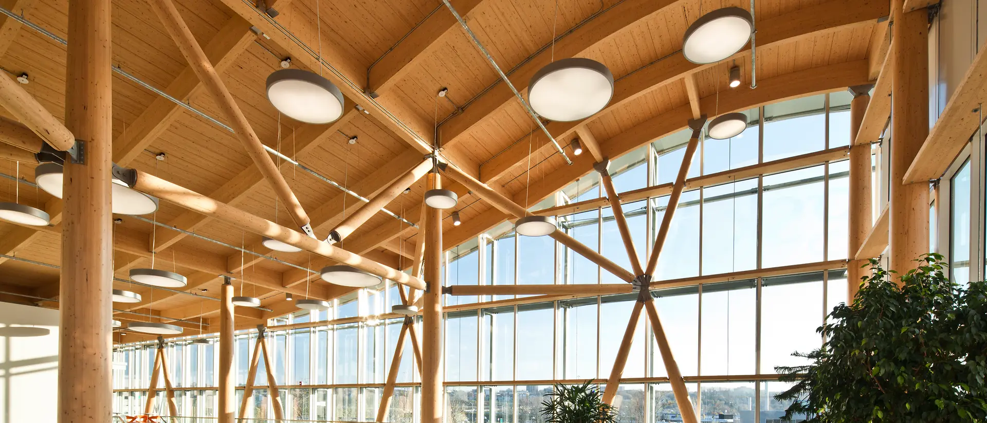 The interior of a modern building with a curved, wooden ceiling and glass walls. On the floor there are several armchairs of different colors.