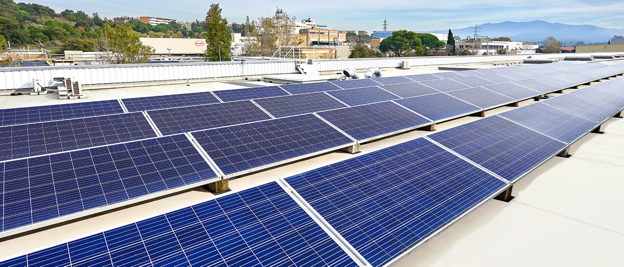 Several rows of solar panels 