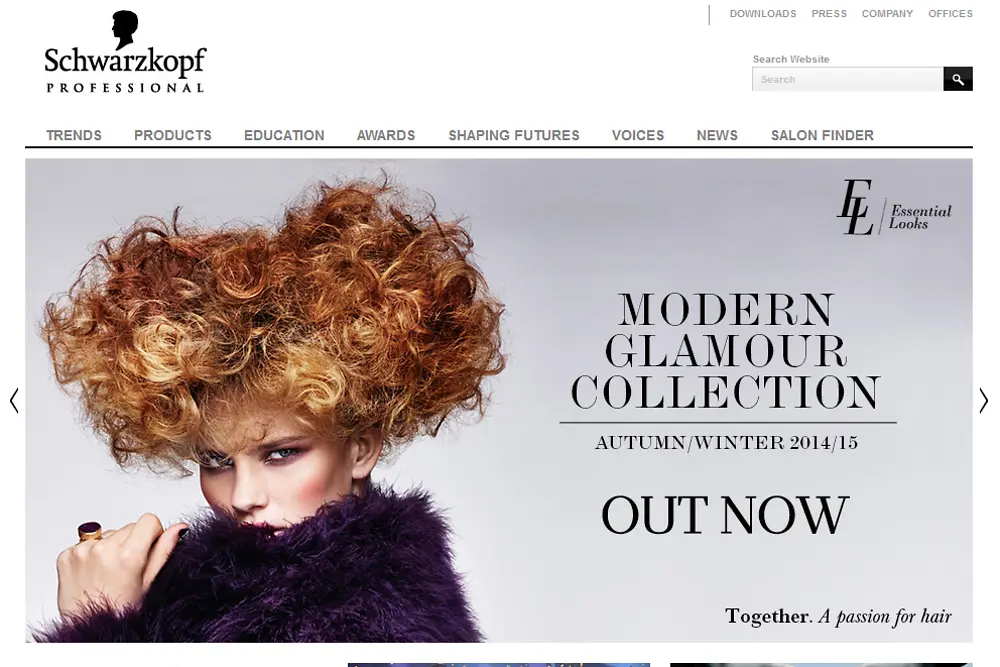 2014-09-15-schwarzkopf-pro-website